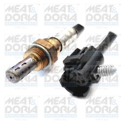 Oxygen Sensor